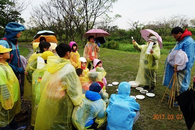 鹿角溪人工溼地探索體驗